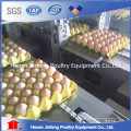 Automatic Chicken Cage Design for Layers in China